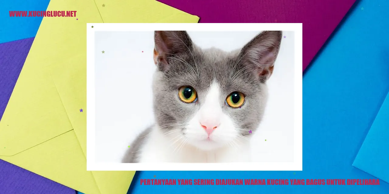 Warna Kucing