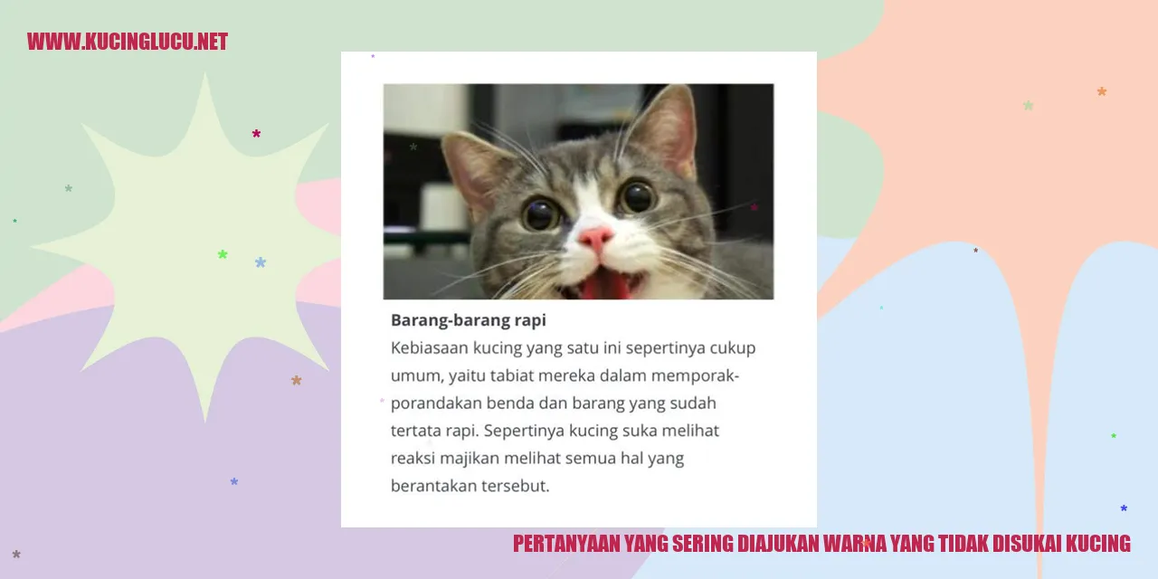 Kucing yang ada di gambar