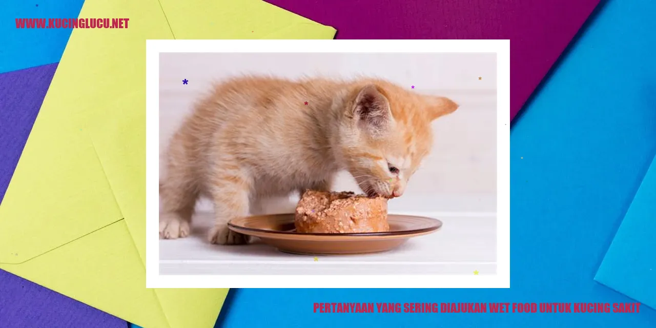 Pertanyaan yang Sering Diajukan wet food untuk kucing sakit