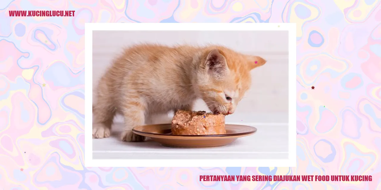 Ilustrasi makanan basah untuk kucing