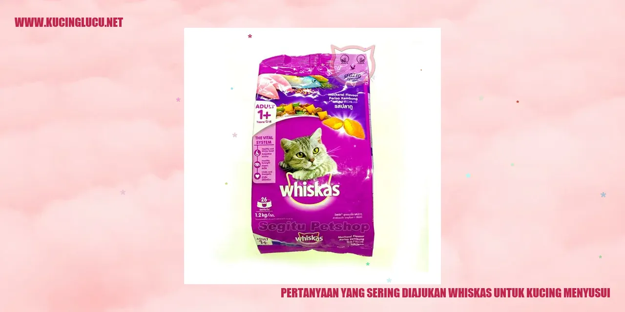 Gambar Kucing Menyusui