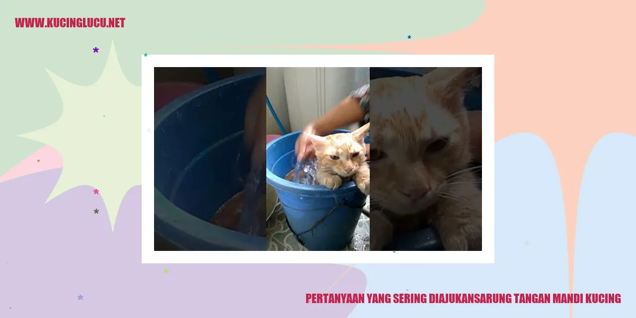 Sarung Tangan Kucing Mandi