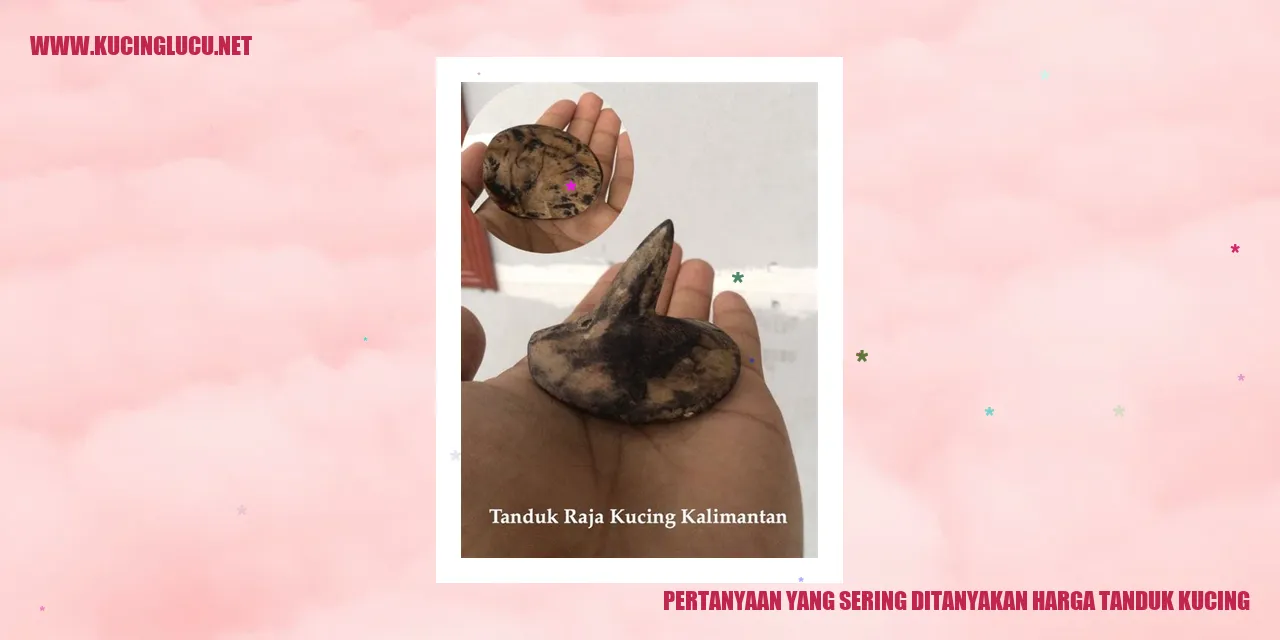 Ilustrasi Kucing dengan Tanduk