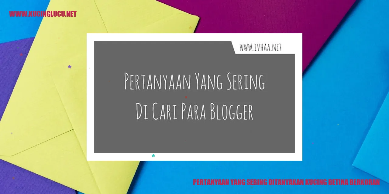 gambar kucing betina berkoran
