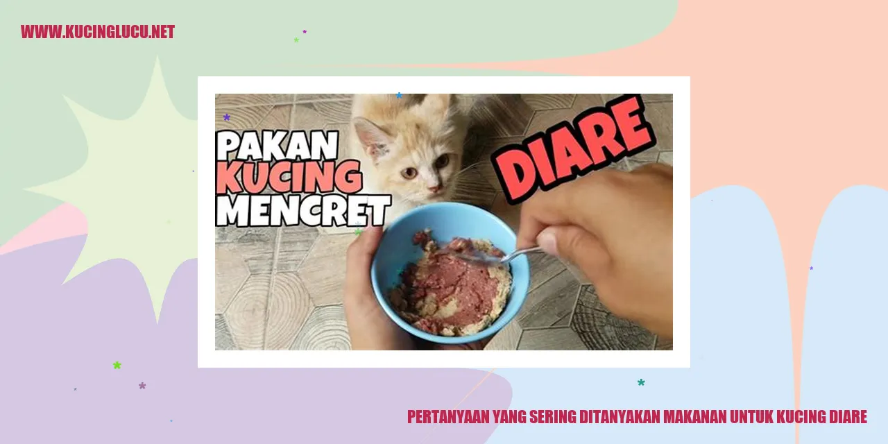 Gambar Kucing dengan Diare