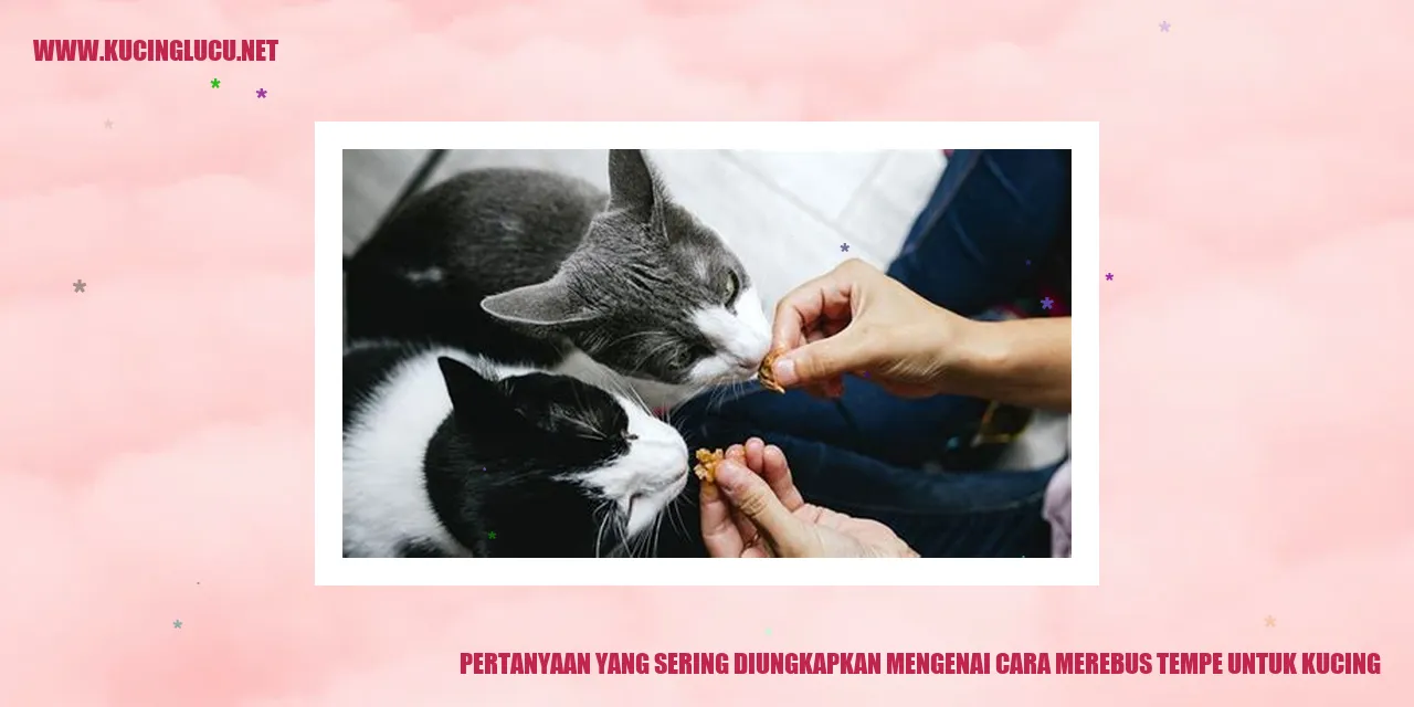 Gambar Pertanyaan yang Sering Diungkapkan mengenai cara merebus tempe untuk kucing