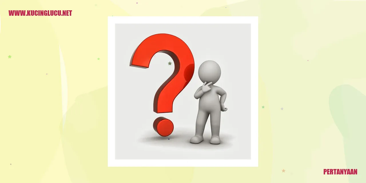 Gambar lucu anak kucing