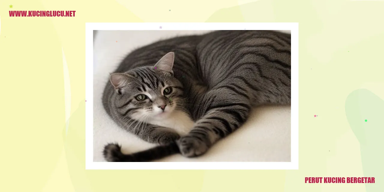 Gambar Kucing Bergetar