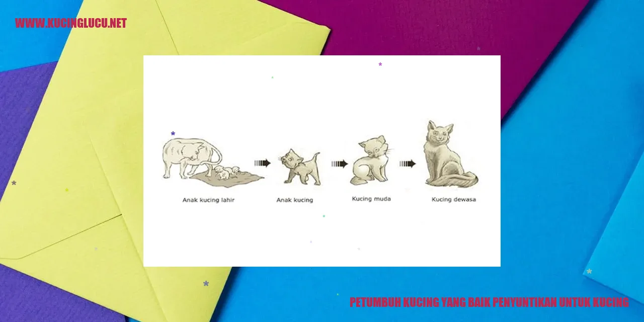 Petumbuh Kucing yang Baik Penyuntikan untuk Kucing