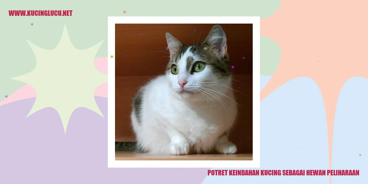 Gambar Kucing