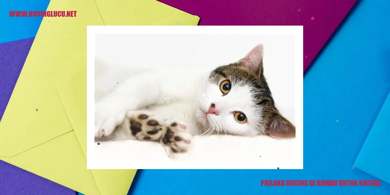 Perilaku Kucing di Rumah untuk Kucing