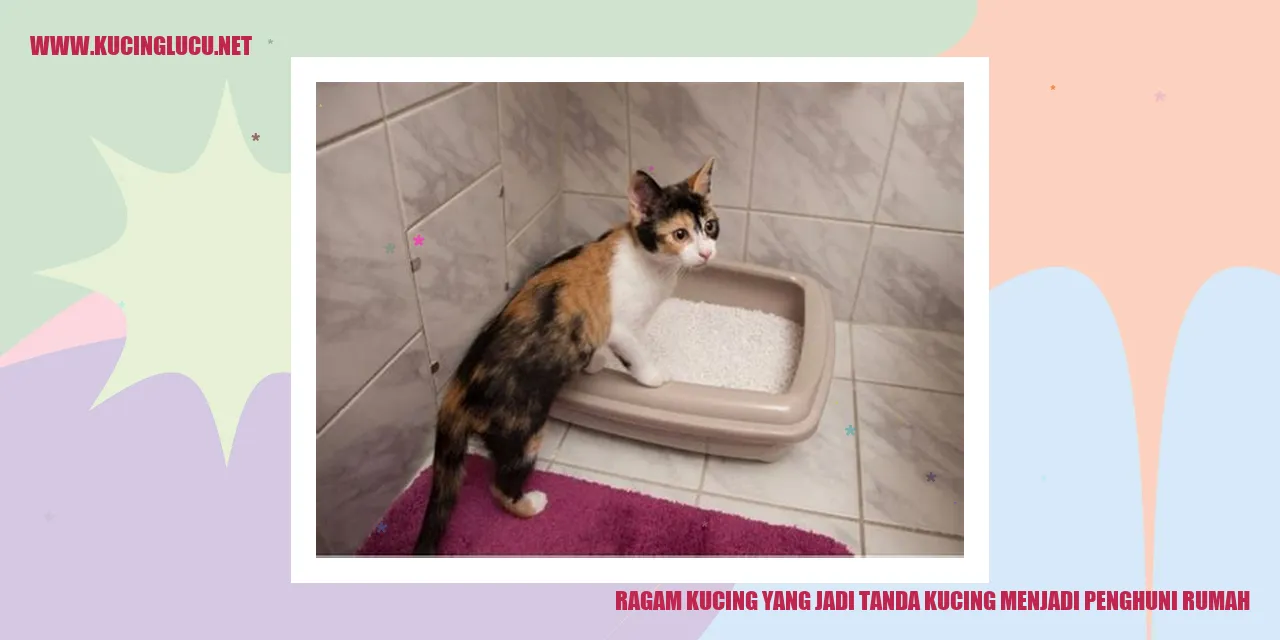 Kucing adalah binatang kesayangan yang digandrungi