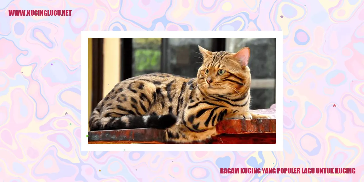 Ragam Kucing yang Populer lagu untuk kucing