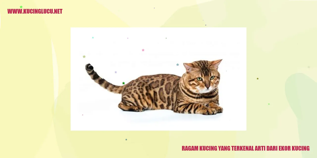 Gambar Kucing yang Menggemaskan
