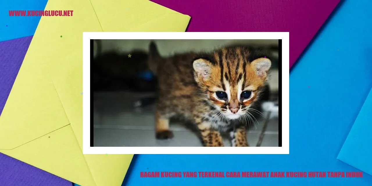 Ragam Kucing yang Terkenal serta Panduan Merawat Anak Kucing Hutan tanpa Ibu