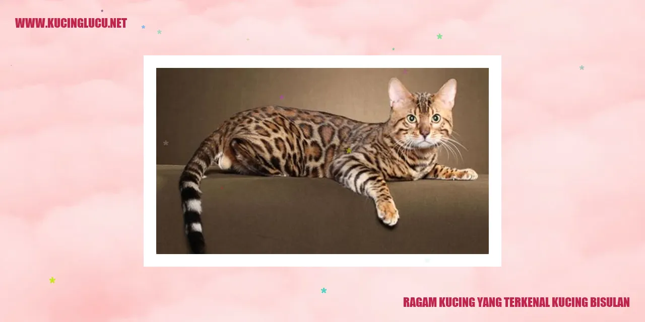 Gambar Si Kucing garis-garis
