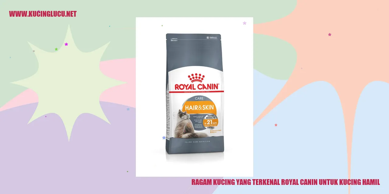 gambar kucing hamil