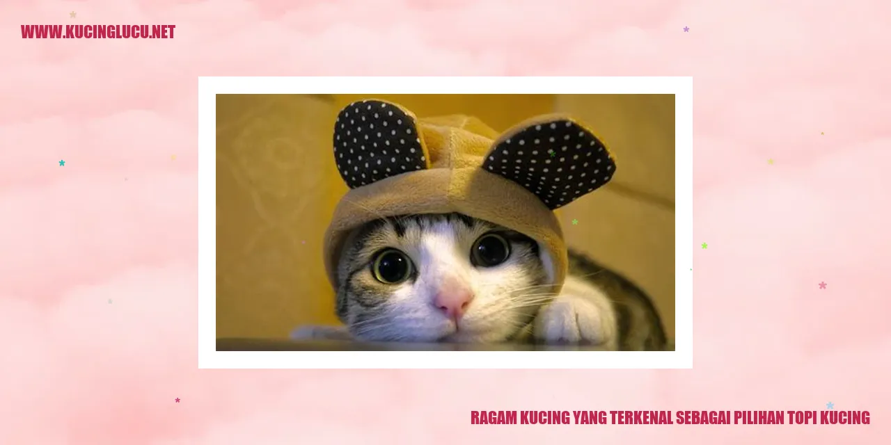 Ragam Kucing yang Terkenal sebagai Pilihan Topi Kucing