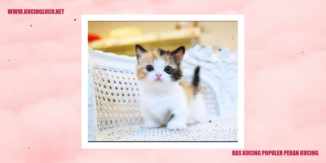 Ras Kucing Populer peran kucing