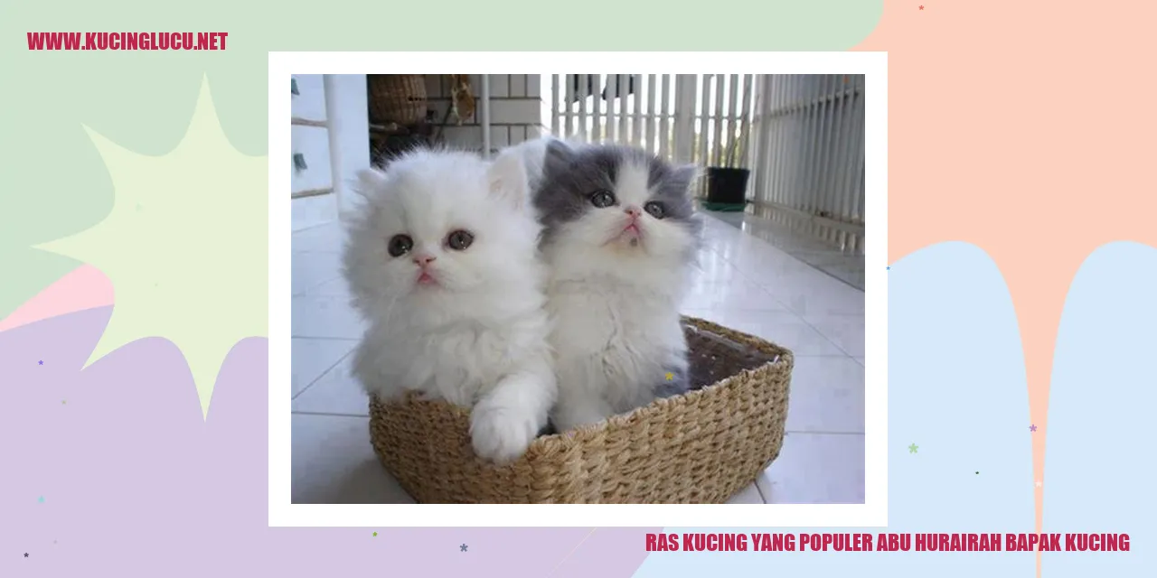 Abu Hurairah Kucing