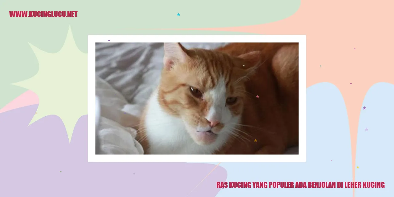 Benjolan di leher kucing