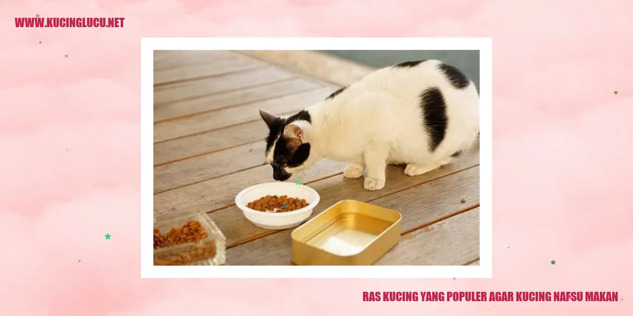 Kucing yang Populer agar kucing nafsu makan