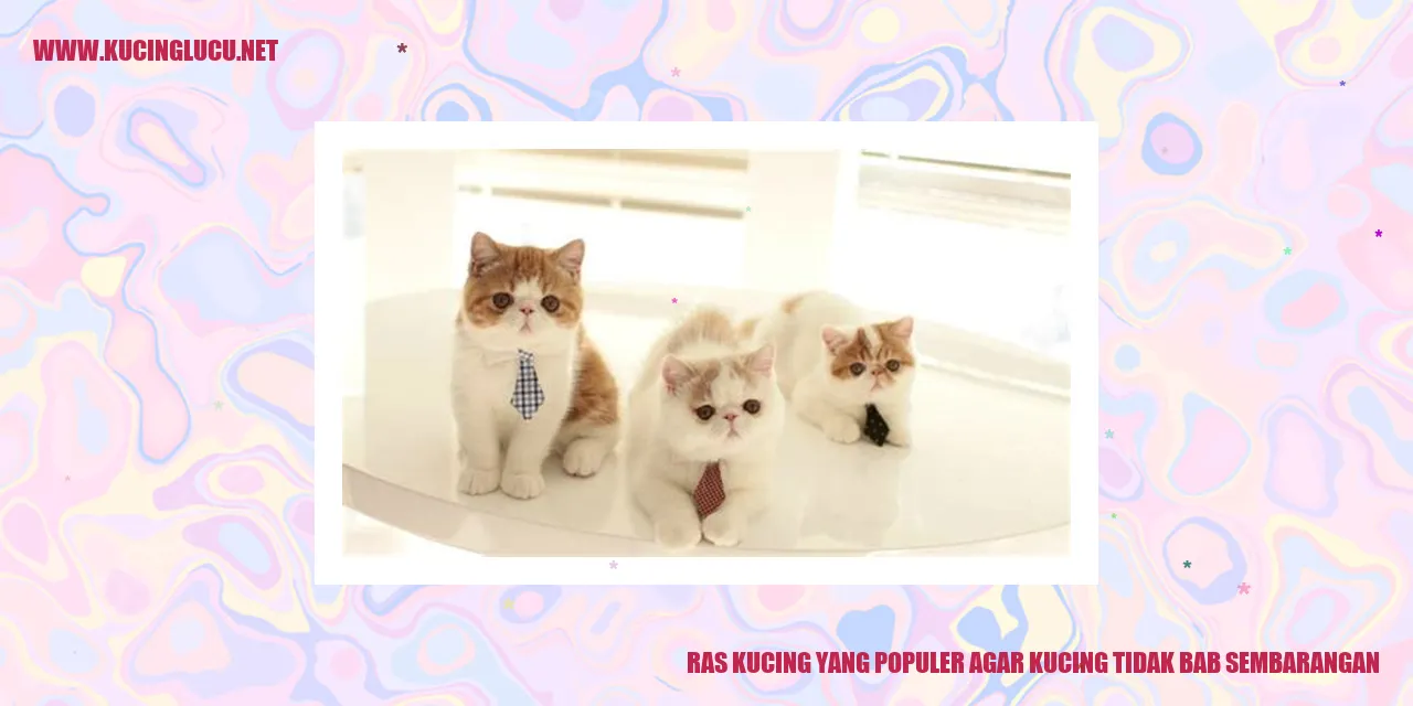 Ras Kucing yang Populer agar kucing tidak bab sembarangan