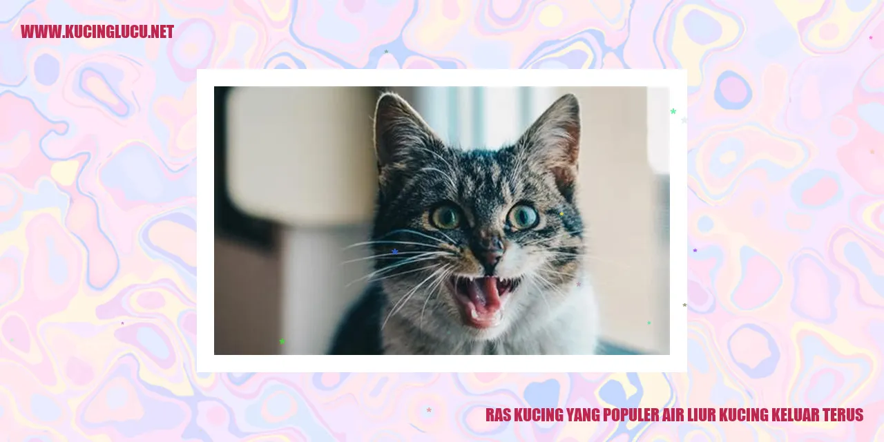Kucing dengan Air Liur yang Mengalir Terus