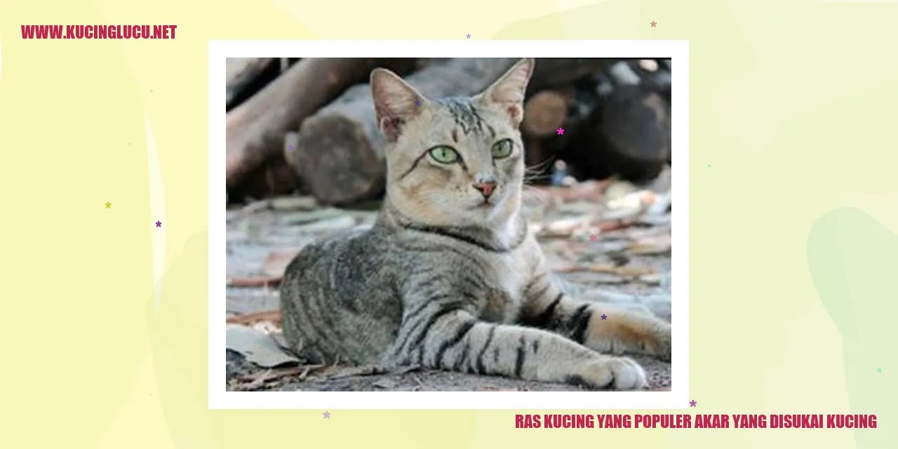 Kucing dengan Popularitas Tinggi