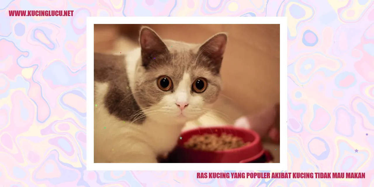 Berbagai Ras Kucing yang Populer karena Kesulitan Makan