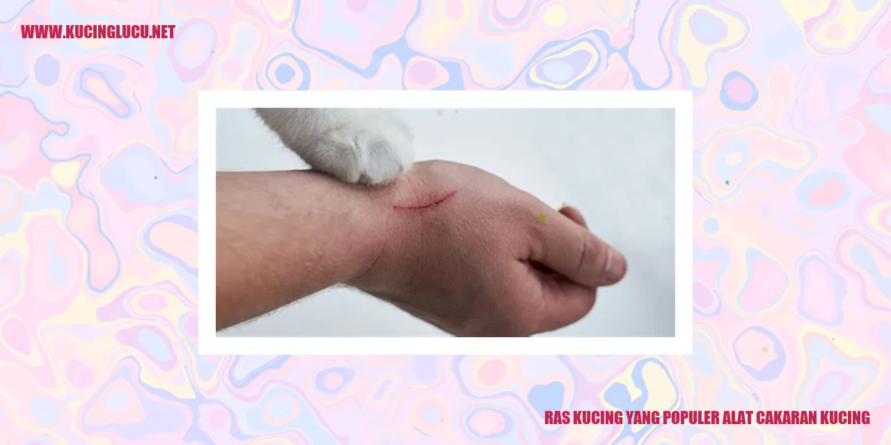 Ras Kucing yang Populer alat cakaran kucing
