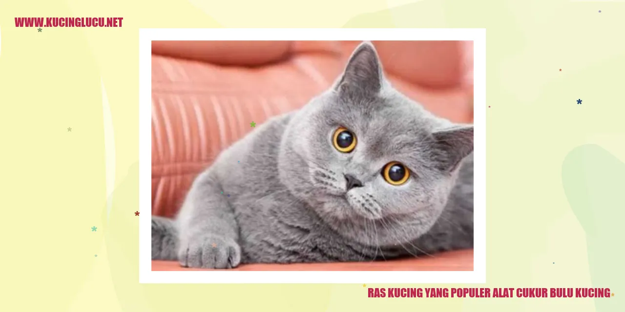 Ras Kucing yang Populer