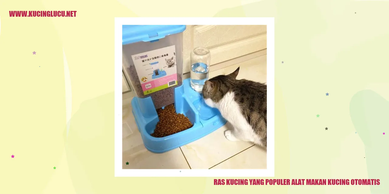 Gambar Ras Kucing yang Paling Digemari dengan Alat Pemberi Makan Otomatis