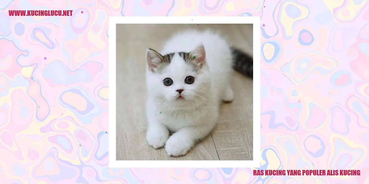 ras kucing populer