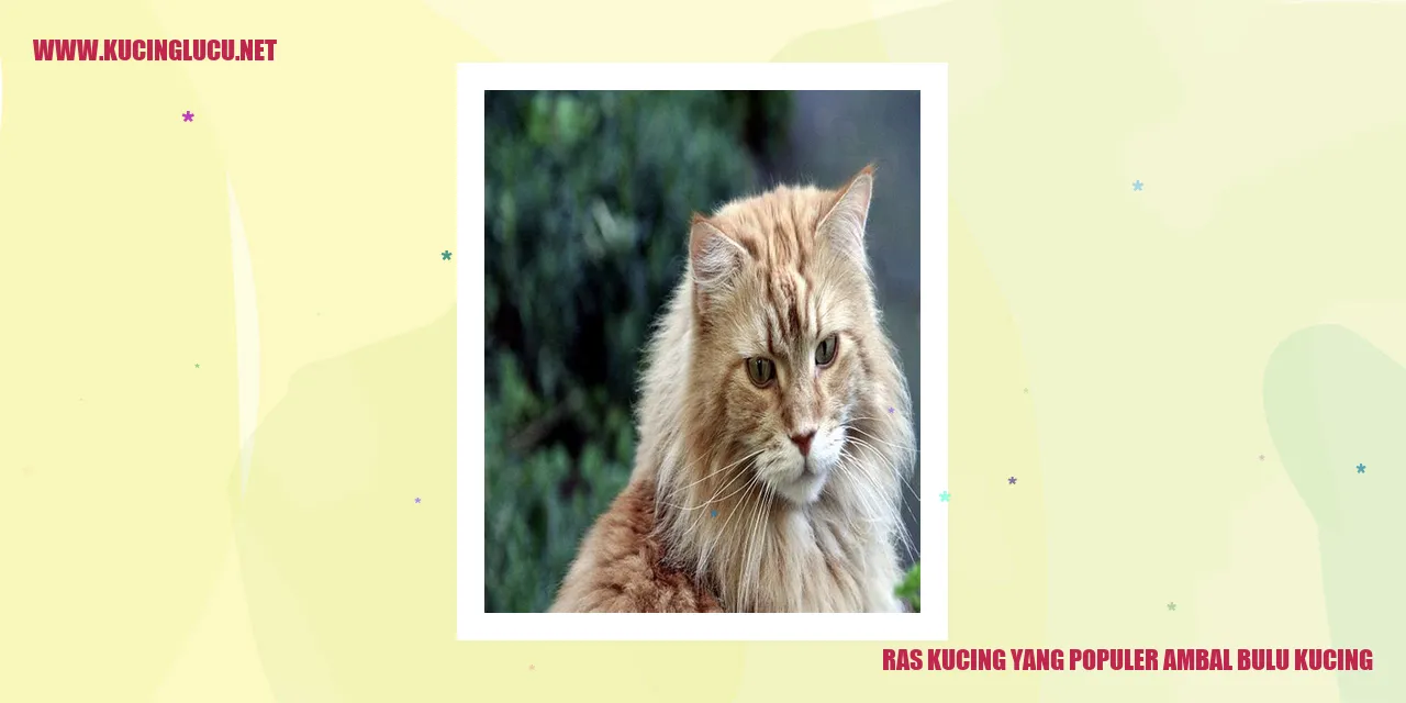Ras Kucing dengan Bulu Menggoda yang Populer