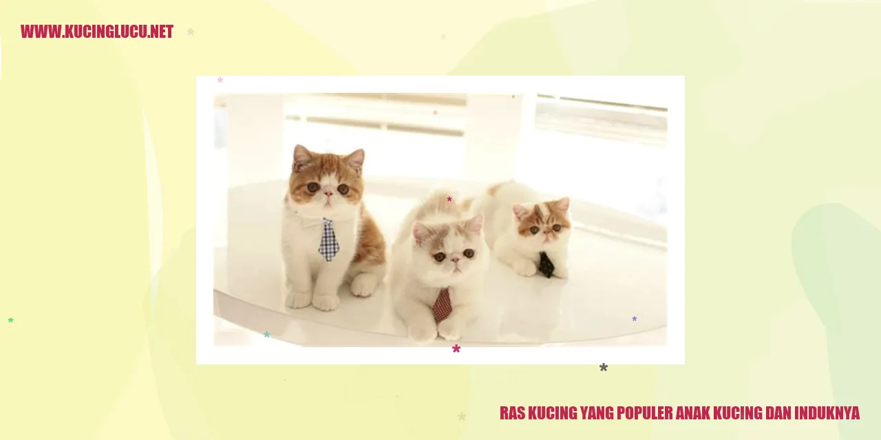 ras kucing populer