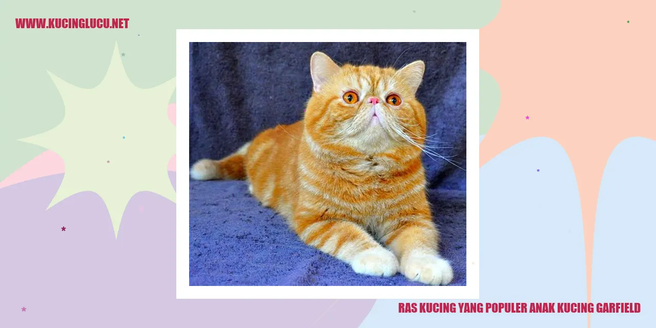 Anak Kucing Garfield