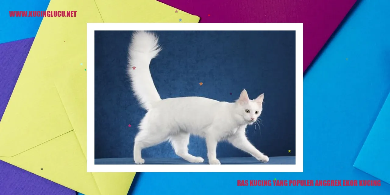 Anggrek Ekor Kucing