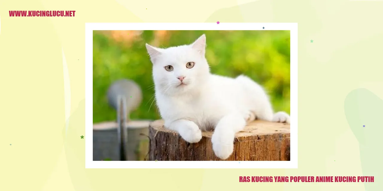 Gambar kucing putih anime