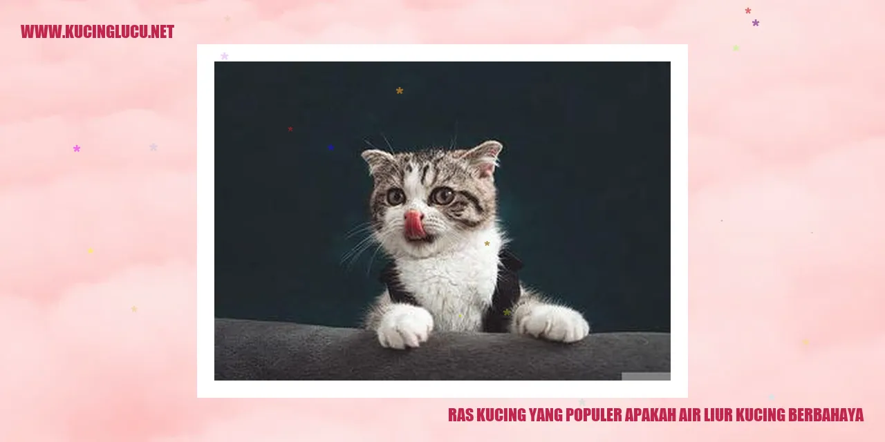 Gambar Kucing Ras yang Terkenal
