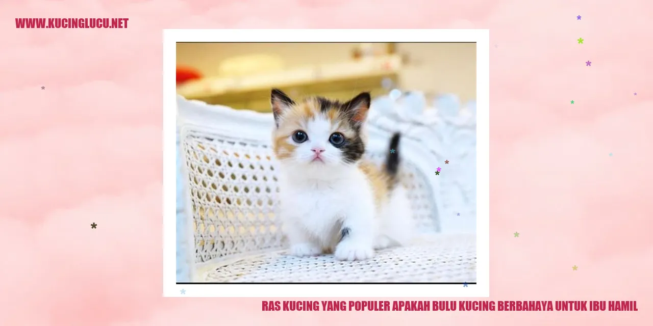 Ras Kucing yang Populer