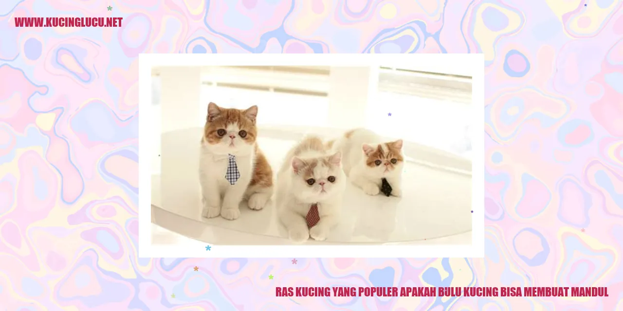 Ras Kucing yang Populer apakah bulu kucing bisa membuat mandul
