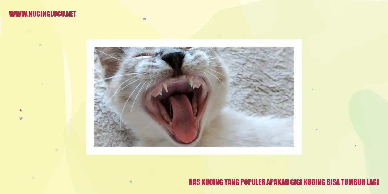 Ras Kucing yang Populer