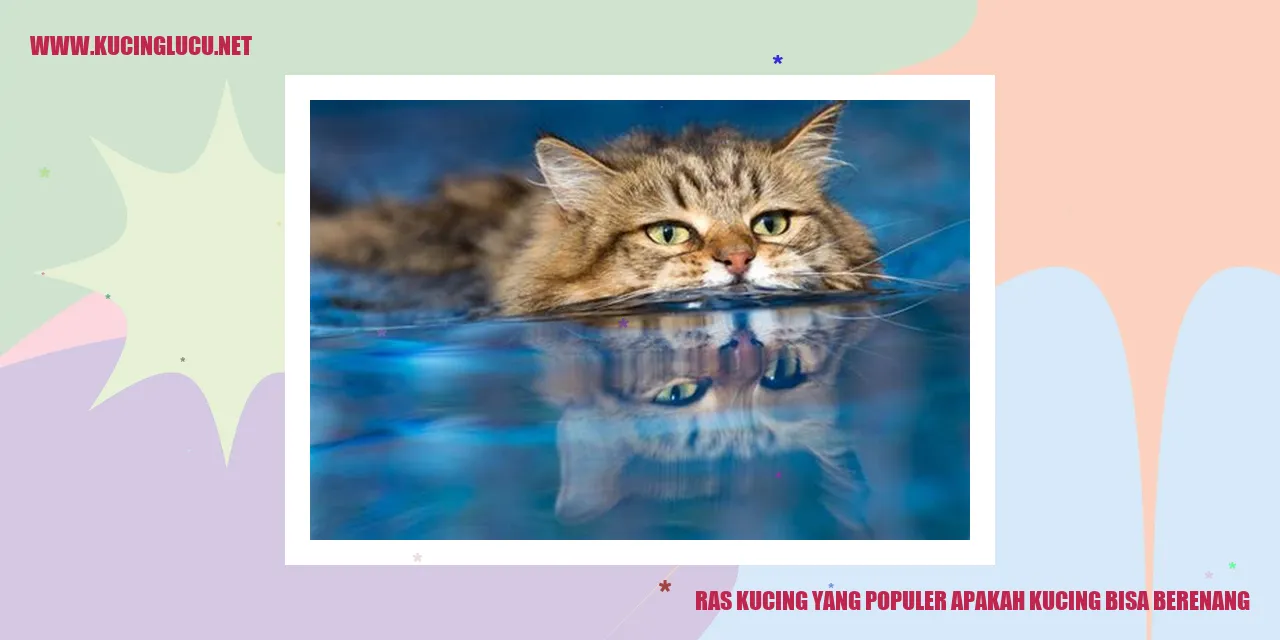 Ras Kucing yang Populer apakah kucing bisa berenang
