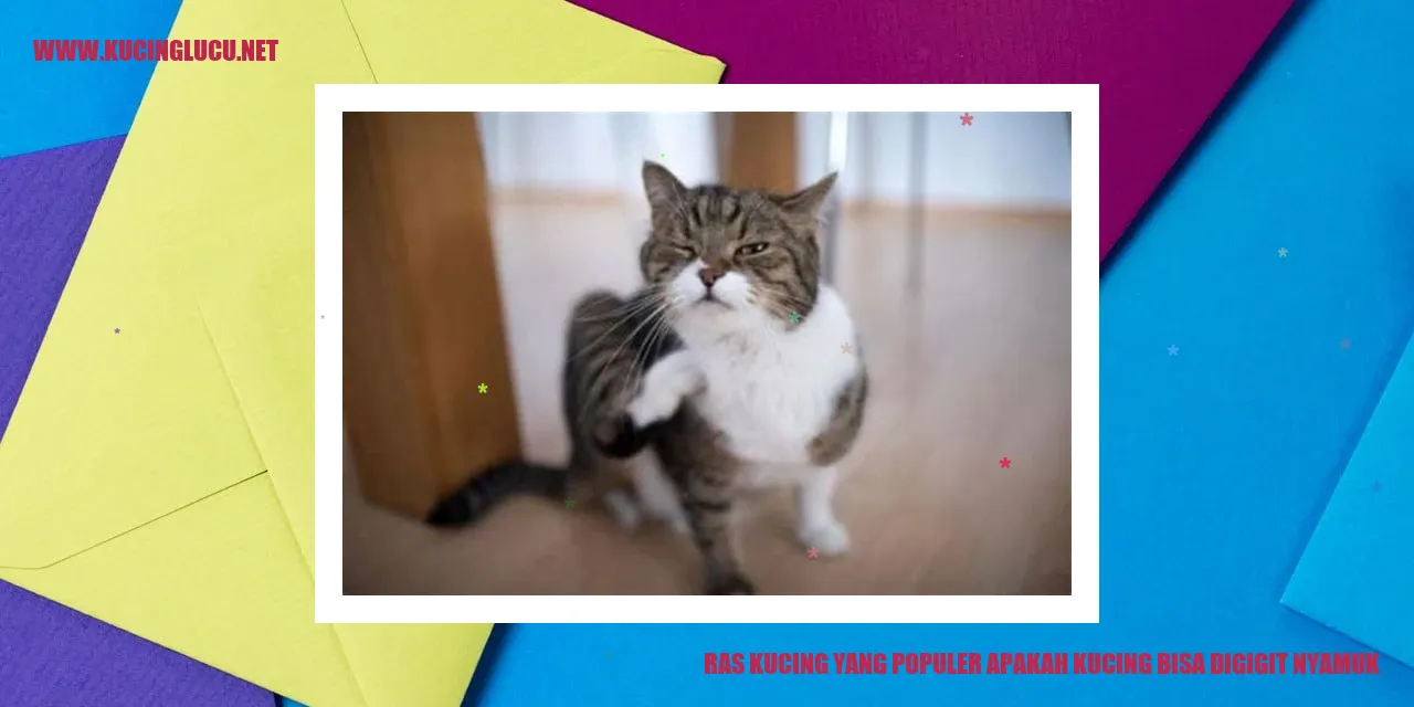 Kucing dan Nyamuk