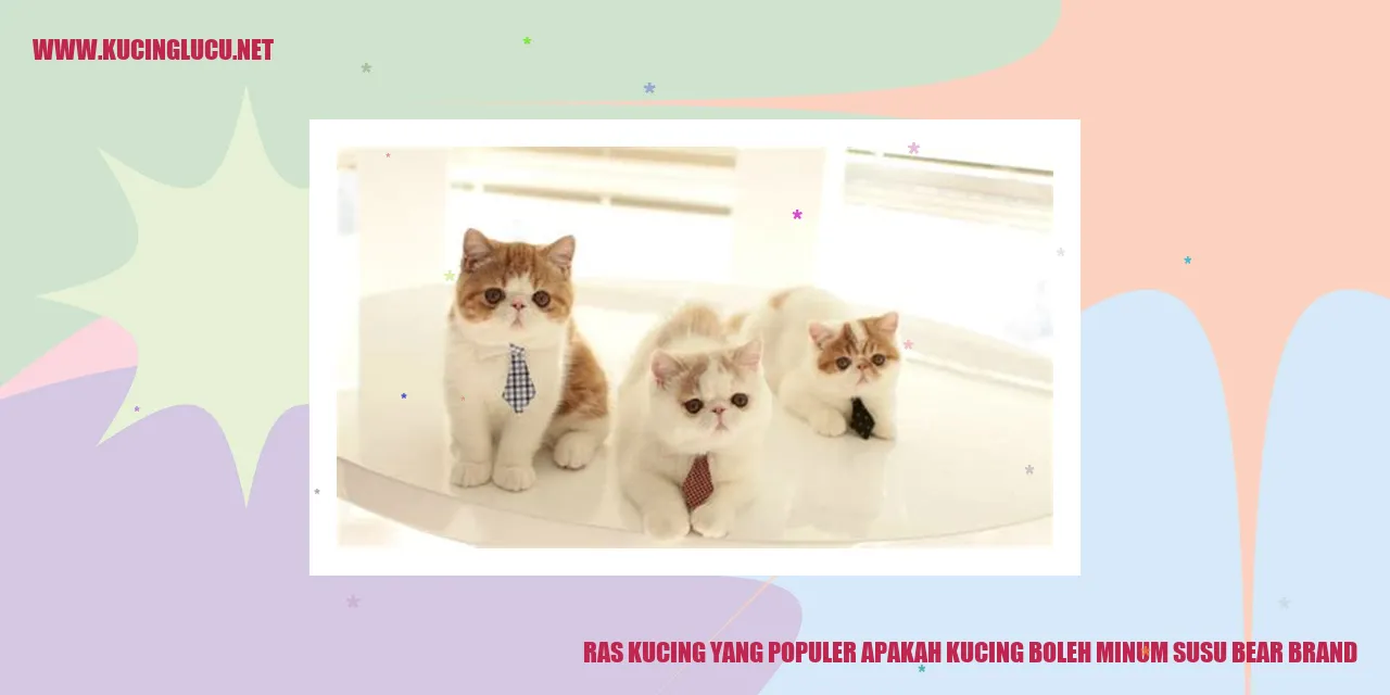 Ras Kucing yang Populer