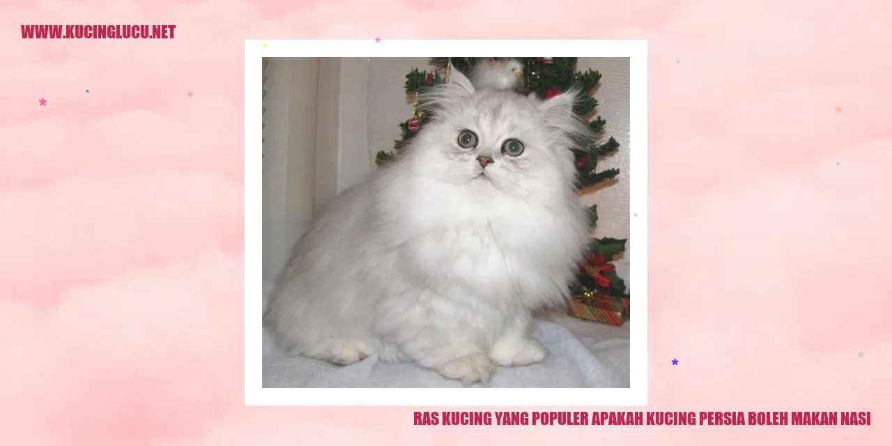 Ras Kucing yang Populer