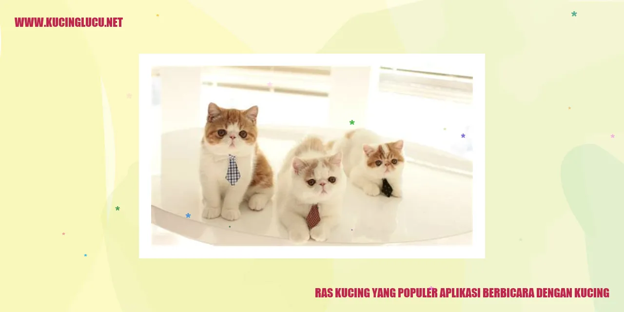 Ras Kucing yang Populer aplikasi berbicara dengan kucing