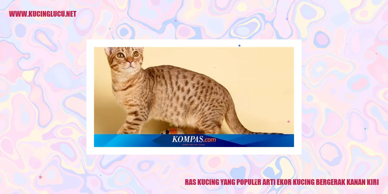 gambar kucing dengan ekor yang melambai