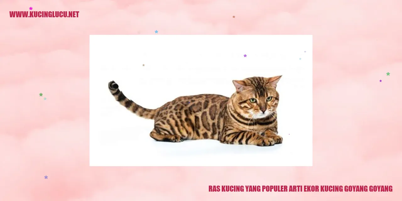 Goyang Goyang Kucing